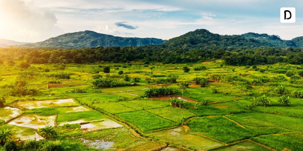 Top 29 Cele Mai Profitabile Idei De Afaceri La ar n 2025