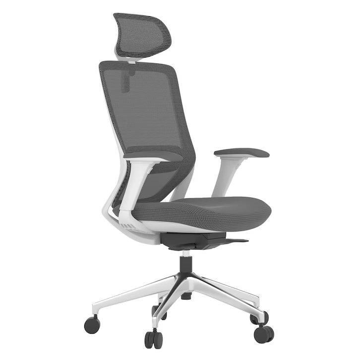 Scaun Ergoplus Colin-H